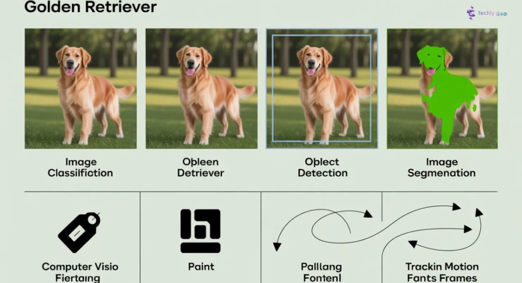 Core Computer Vision Tasks
